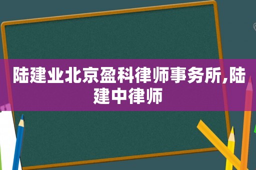 陸建業北京盈科律師事務所,陸建中律師