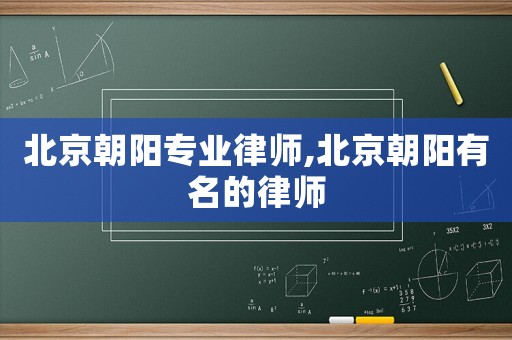 北京朝陽專業律師,北京朝陽有名的律師