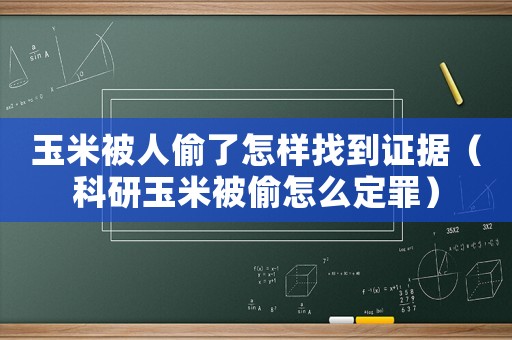 玉米被人偷了怎樣找到證據(jù)（科研玉米被偷怎么定罪）