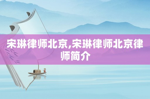 宋琳律師北京,宋琳律師北京律師簡介