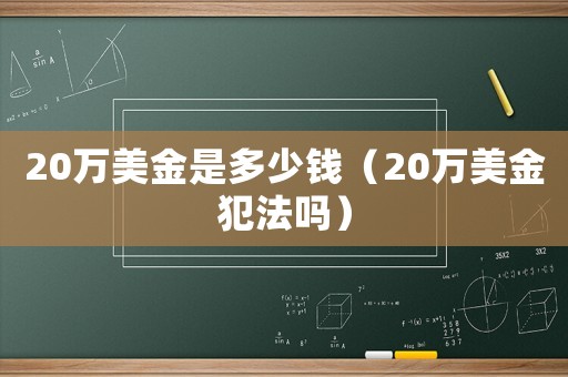 20萬美金是多少錢（20萬美金犯法嗎）