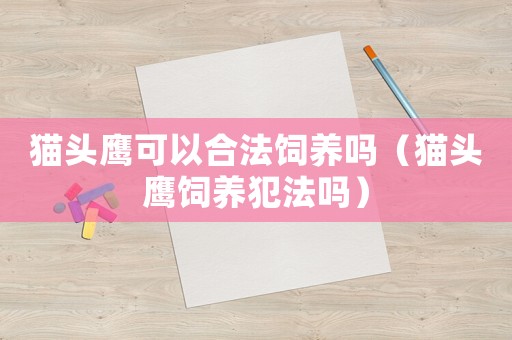 貓頭鷹可以合法飼養(yǎng)嗎（貓頭鷹飼養(yǎng)犯法嗎）