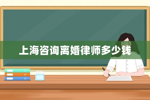 上海咨詢離婚律師多少錢