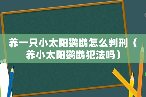養一只小太陽鸚鵡怎么判刑（養小太陽鸚鵡犯法嗎）