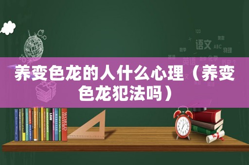 養變色龍的人什么心理（養變色龍犯法嗎）