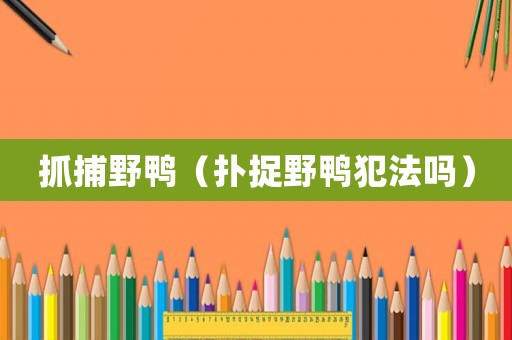 抓捕野鴨（撲捉野鴨犯法嗎）