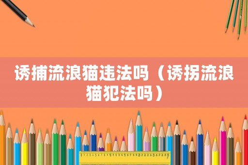 誘捕流浪貓違法嗎（誘拐流浪貓犯法嗎）