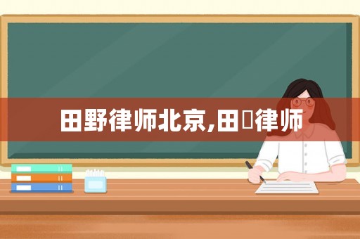 田野律師北京,田暐律師