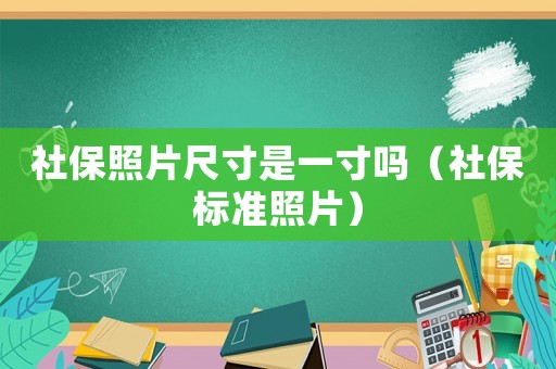 社保照片尺寸是一寸嗎（社保標準照片）