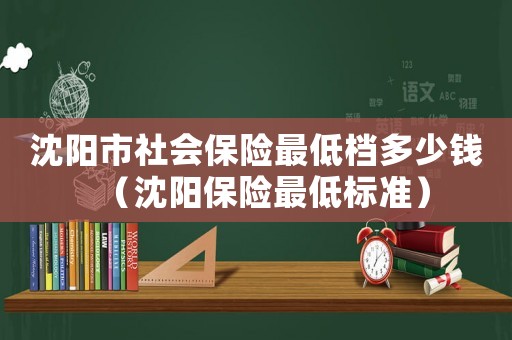沈陽市社會保險最低檔多少錢（沈陽保險最低標準）