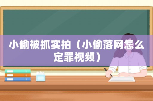 小偷被抓實拍（小偷落網怎么定罪視頻）