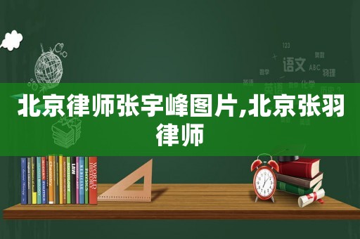 北京律師張宇峰圖片,北京張羽律師
