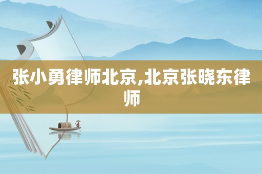 張小勇律師北京,北京張曉東律師