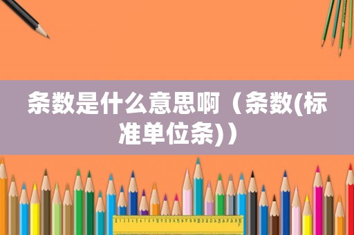 條數是什么意思啊（條數(標準單位條)）