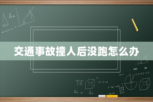 交通事故撞人后沒跑怎么辦