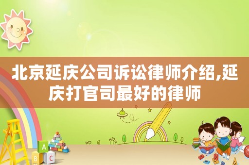 北京延慶公司訴訟律師介紹,延慶打官司最好的律師