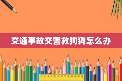 交通事故交警救狗狗怎么辦