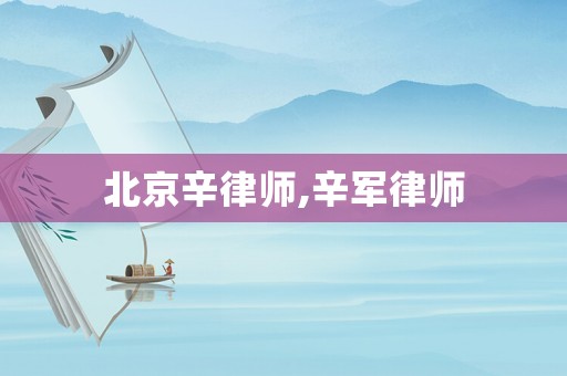 北京辛律師,辛軍律師
