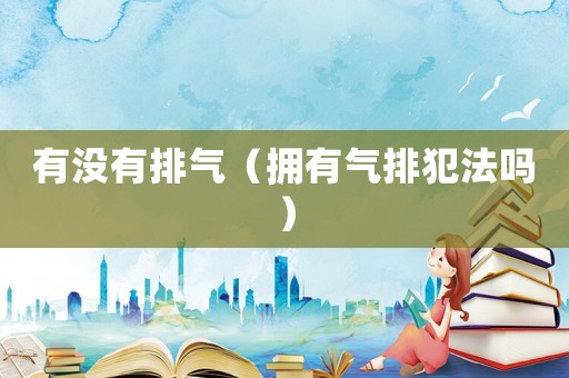 有沒有排氣（擁有氣排犯法嗎）