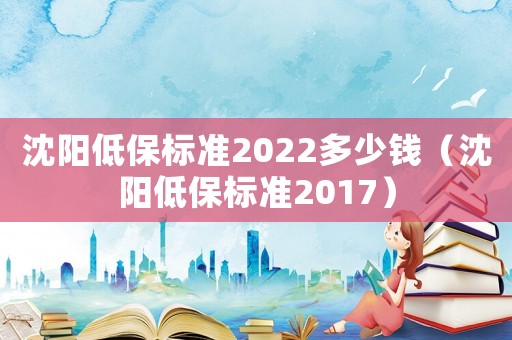 沈陽低保標準2022多少錢（沈陽低保標準2017）