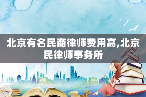 北京有名民商律師費用高,北京民律師事務(wù)所