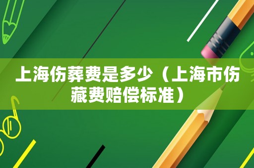 上海傷葬費是多少（上海市傷藏費賠償標準）