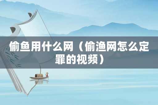 偷魚用什么網（偷漁網怎么定罪的視頻）