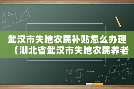 武漢市失地農民補貼怎么辦理（湖北省武漢市失地農民養(yǎng)老保險補償標準每月多少錢）