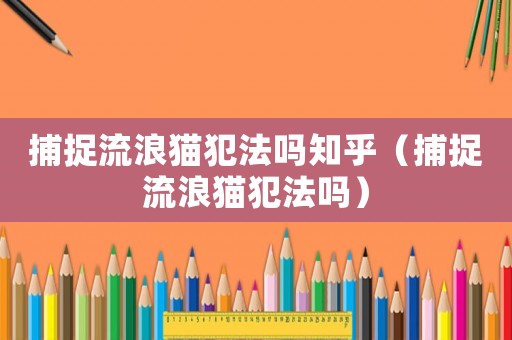 捕捉流浪貓犯法嗎知乎（捕捉流浪貓犯法嗎）