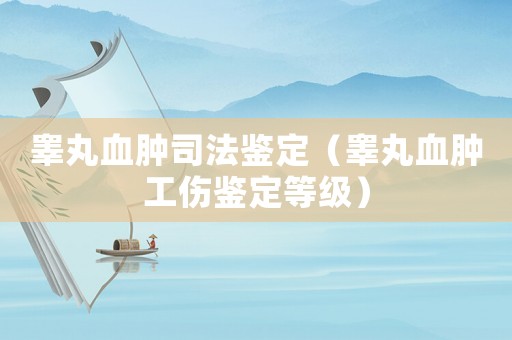 睪丸血腫司法鑒定（睪丸血腫工傷鑒定等級）