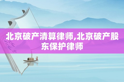 北京破產清算律師,北京破產股東保護律師