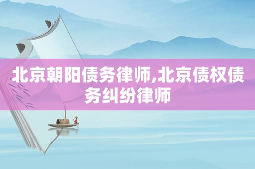 北京朝陽(yáng)債務(wù)律師,北京債權(quán)債務(wù)糾紛律師