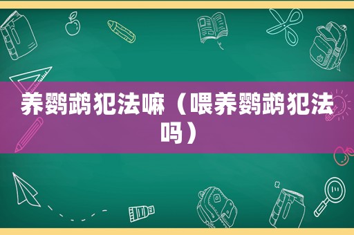 養鸚鵡犯法嘛（喂養鸚鵡犯法嗎）