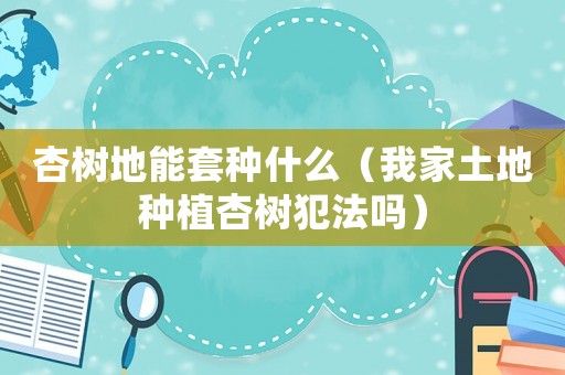 杏樹地能套種什么（我家土地種植杏樹犯法嗎）