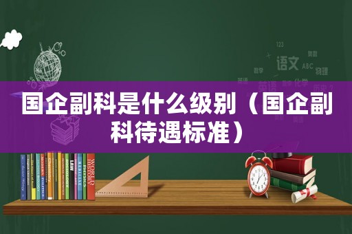 國企副科是什么級別（國企副科待遇標準）