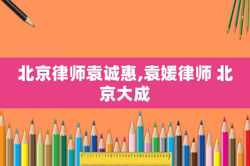 北京律師袁誠惠,袁媛律師 北京大成