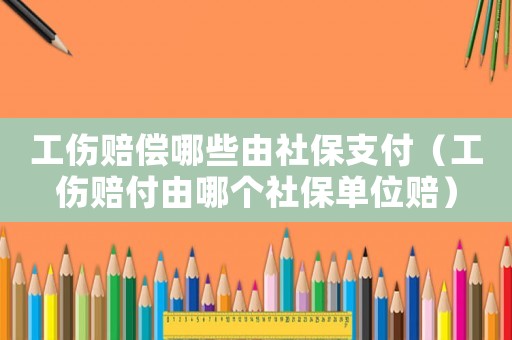 工傷賠償哪些由社保支付（工傷賠付由哪個社保單位賠）