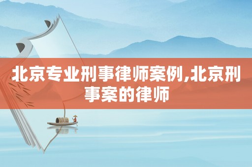 北京專業(yè)刑事律師案例,北京刑事案的律師
