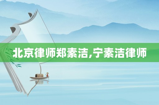 北京律師鄭素潔,寧素潔律師