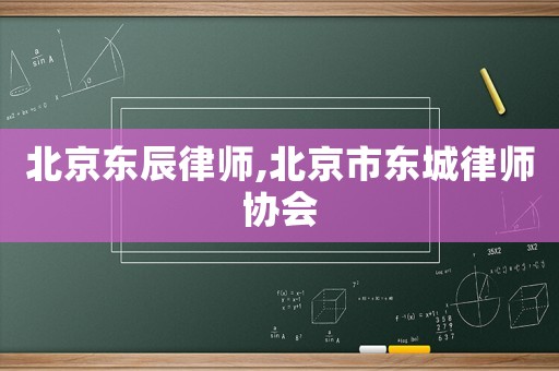 北京東辰律師,北京市東城律師協會