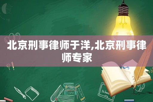 北京刑事律師于洋,北京刑事律師專家