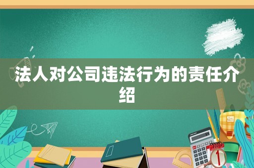 法人對公司違法行為的責任介紹