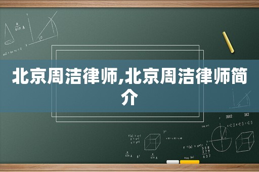 北京周潔律師,北京周潔律師簡介