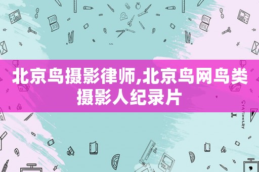北京鳥攝影律師,北京鳥網鳥類攝影人紀錄片