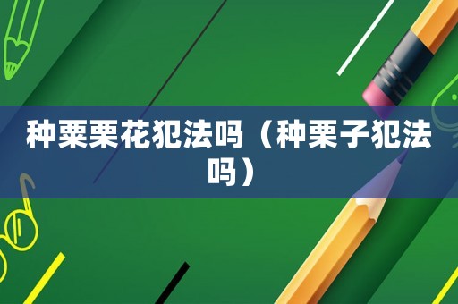 種粟栗花犯法嗎（種栗子犯法嗎）
