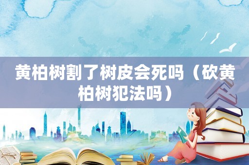 黃柏樹(shù)割了樹(shù)皮會(huì)死嗎（砍黃柏樹(shù)犯法嗎）