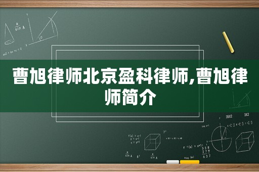 曹旭律師北京盈科律師,曹旭律師簡介
