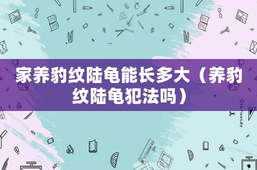 家養(yǎng)豹紋陸龜能長多大（養(yǎng)豹紋陸龜犯法嗎）