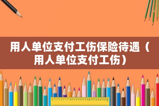 用人單位支付工傷保險待遇（用人單位支付工傷）