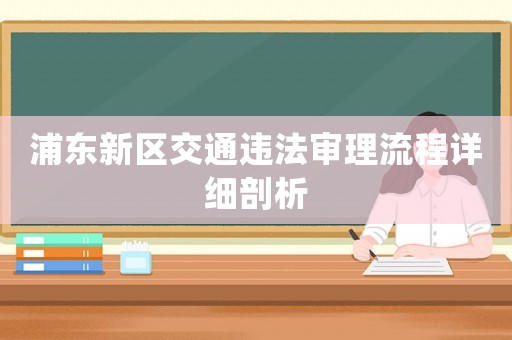 浦東新區交通違法審理流程詳細剖析
